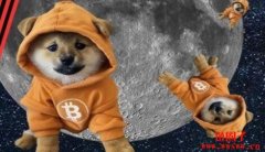 DOG是什么币？DOG币价格走势以及未来