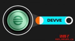 什么是DevvE（DEVVE币）？如何运作？