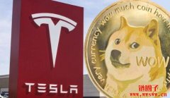 特斯拉新增狗狗币(DOGE)支付,狗狗币价格能否达到1美元?