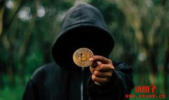 比特币鲸鱼：全球拥有最多比特币的
