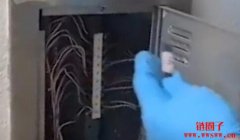 Telegram成毒品交易百货公司？韩警用区块链工具